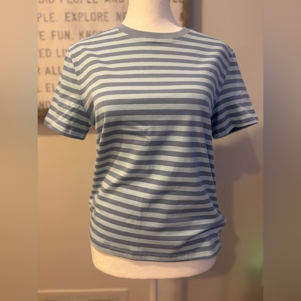 NWT Edikted Callahan Striped Blue Tee